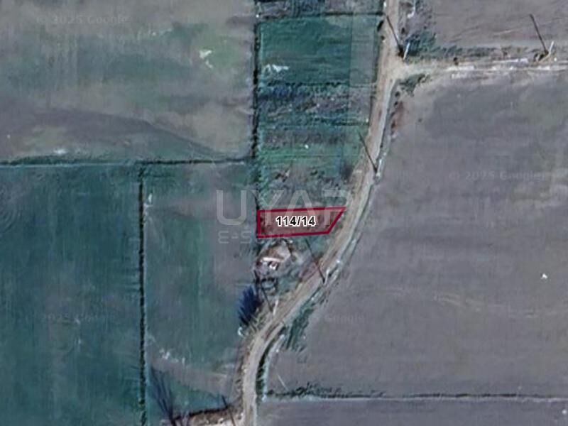 Aydinda Kucuk Butceyle Buyuk Firsat Sulu Tarim Arazisi Satista 649875 Cb22Eec3Eca614Cc3E5B5F6916811Aeb