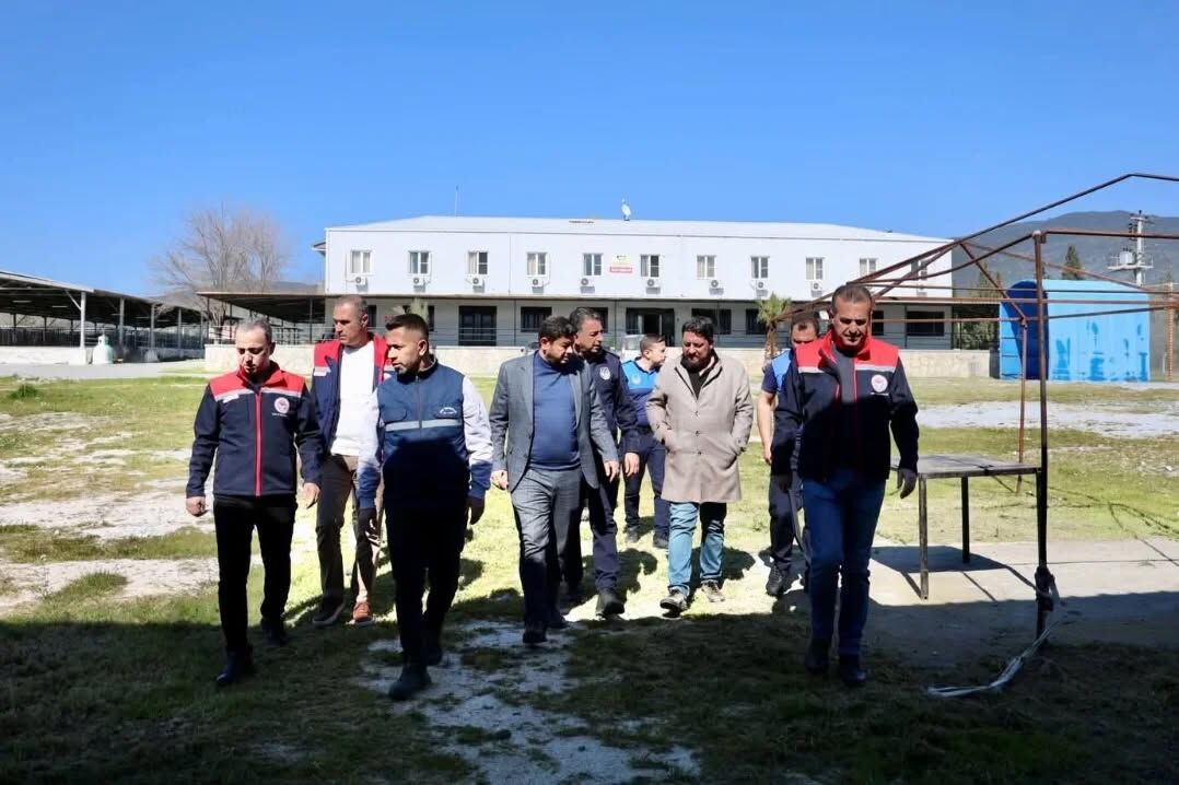 Cine Hayvan Pazarinda Acilis Oncesi Denetim Gerceklestirildi 646272 072E11Ac73A989D56Ec3C714Ff1Ec159