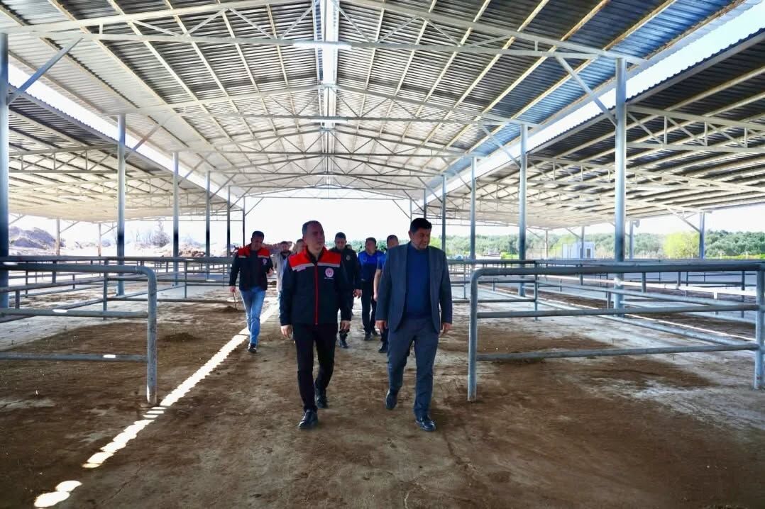 Cine Hayvan Pazarinda Acilis Oncesi Denetim Gerceklestirildi 646272 C5753Fd5D3Bf1922A274B357Cad56Fb0