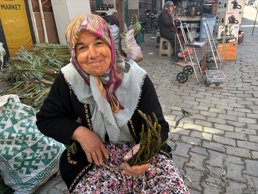 Koçarlı pazarında kedirgen otu 150 liradan satışta