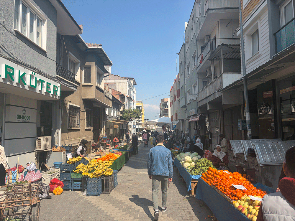 Koçarlı’da baharın habercisi çağla tezgahlarda