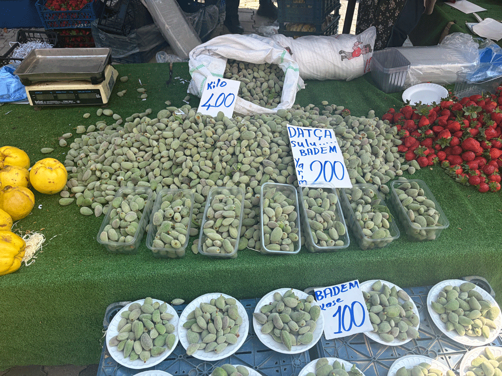 Koçarlı’da baharın habercisi çağla tezgahlarda