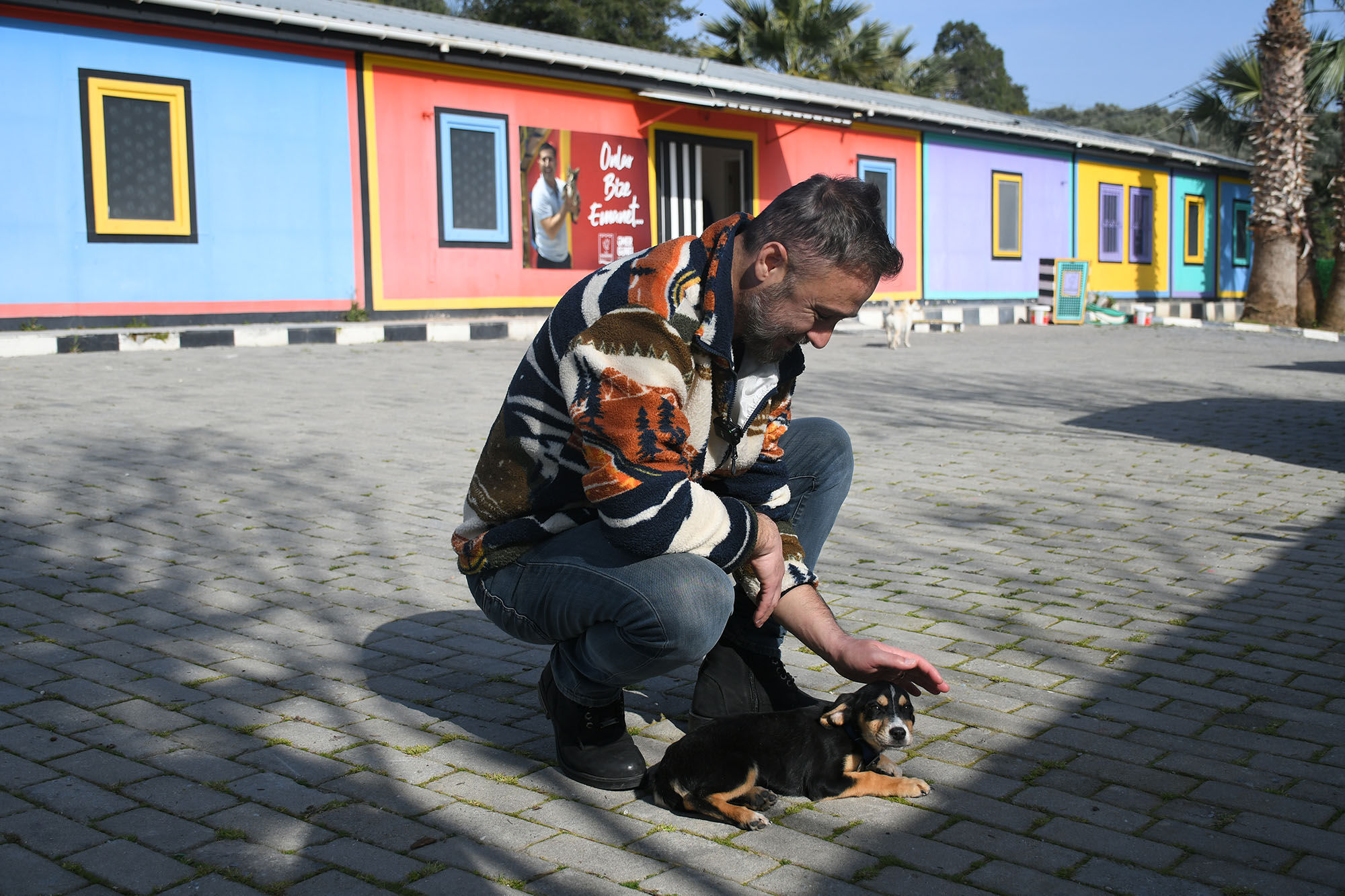 Kusadasi Belediyesi Patili Can Dost Sosisi Sicak Yuvasina Kavusturdu 644279 6Fc57291F3Cebad6E33463Ddc4047407