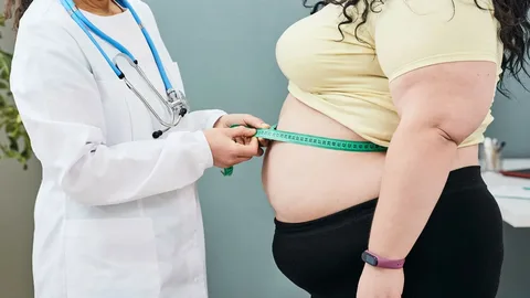 Obezite Ve Kilo Kontrolü İçin Devlet Destekli Klinikler Hangileri
