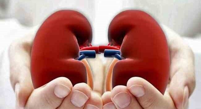 Whatsapp Image 2026 03 17 At 20.49.45