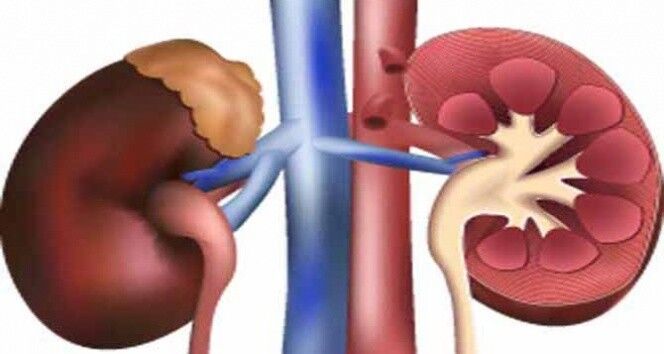 Whatsapp Image 2026 03 17 At 20.50.23