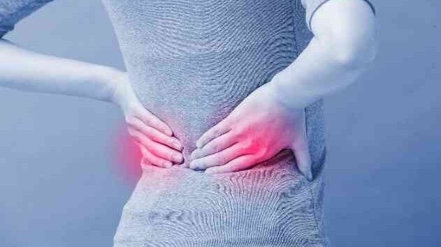 Whatsapp Image 2026 03 17 At 20.50.30