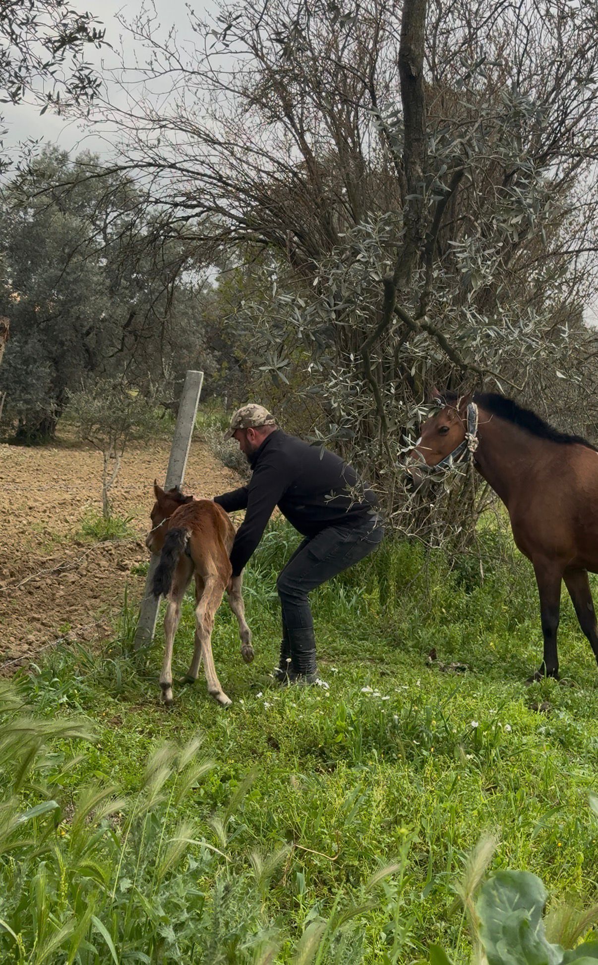 Whatsapp Image 2026 03 28 At 19.35.14 (1)