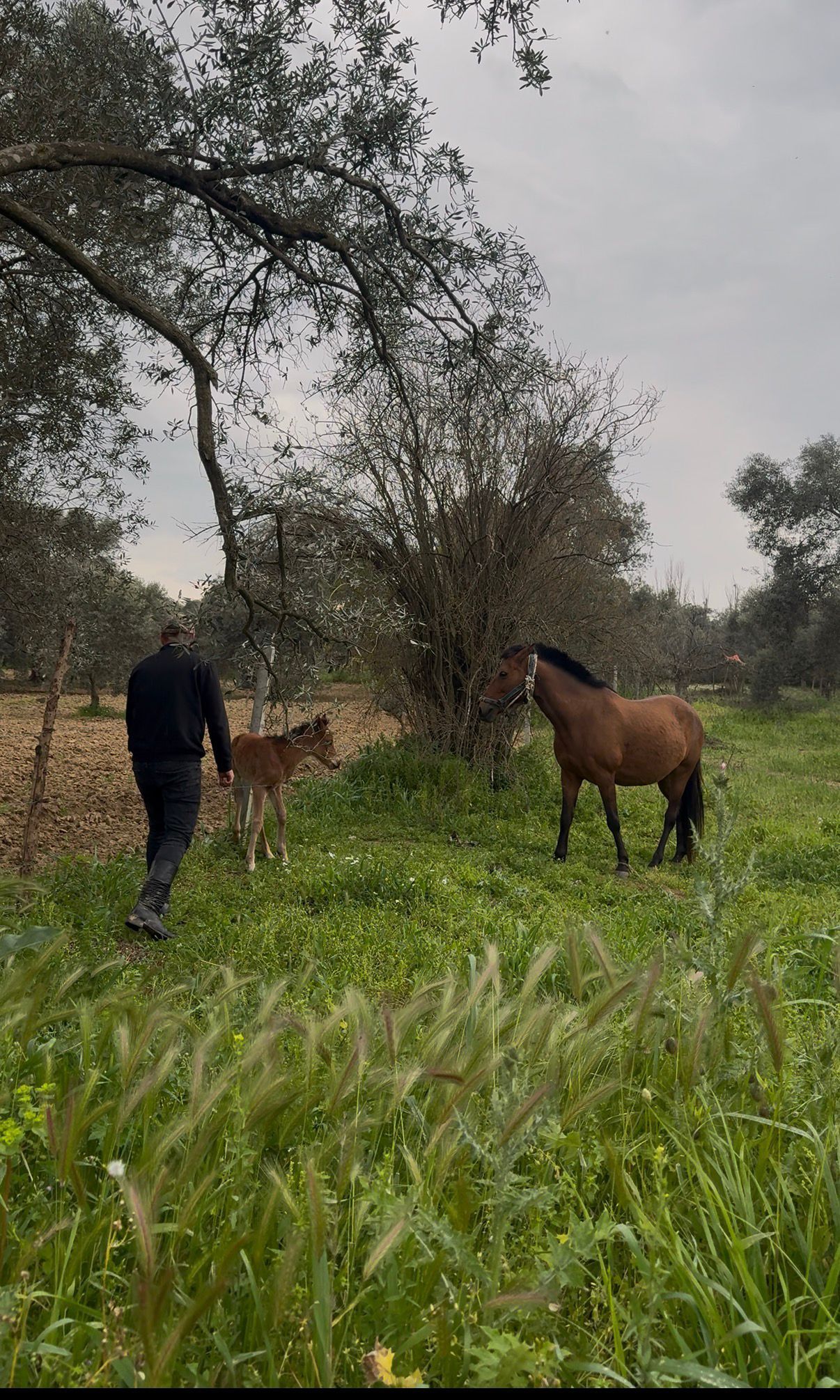 Whatsapp Image 2026 03 28 At 19.35.14