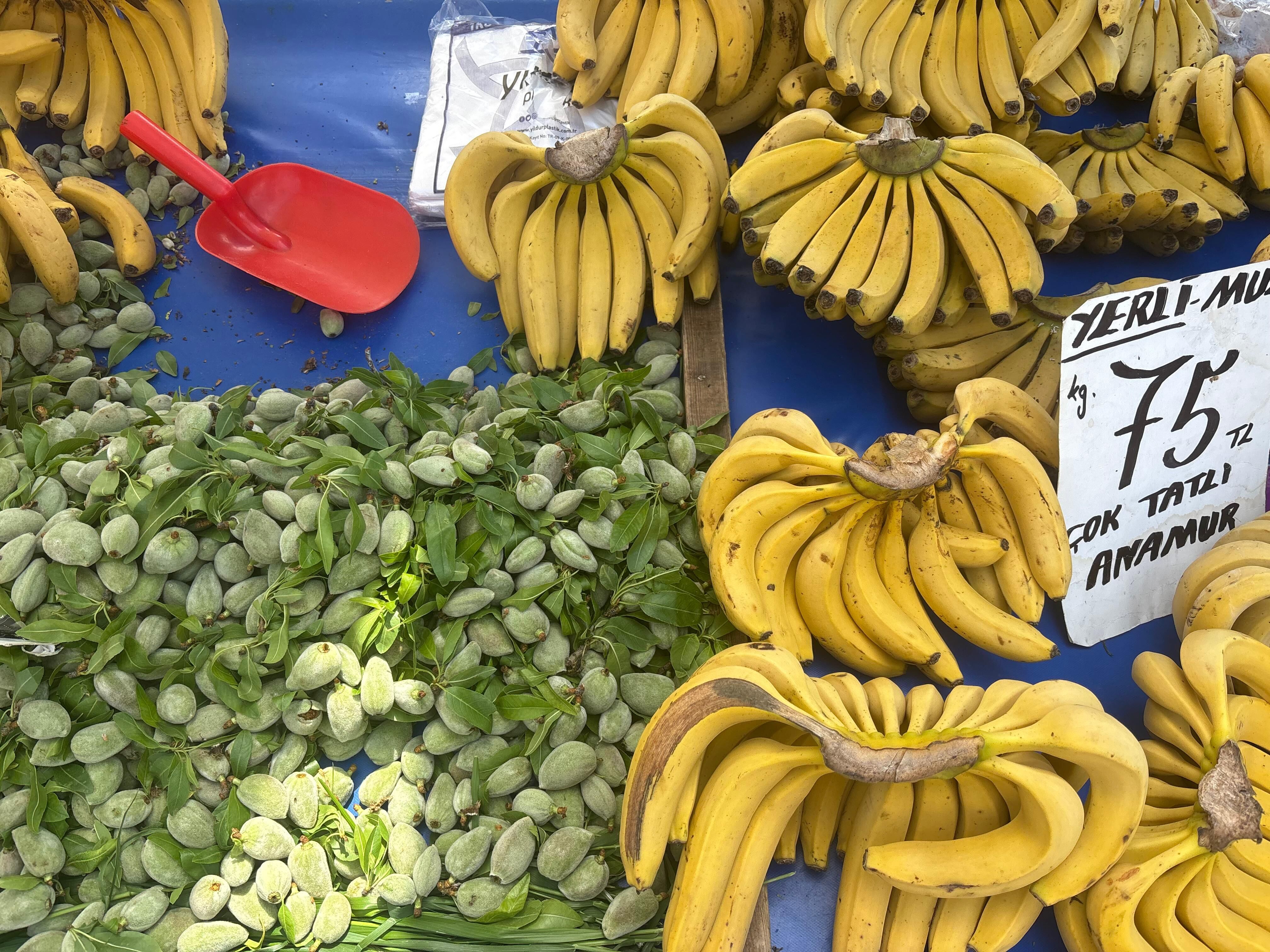 Aydinda Kavun Tezgahtaki Yerini Aldi Kavunun Tanesi Ne Kadar 657325 7359E6