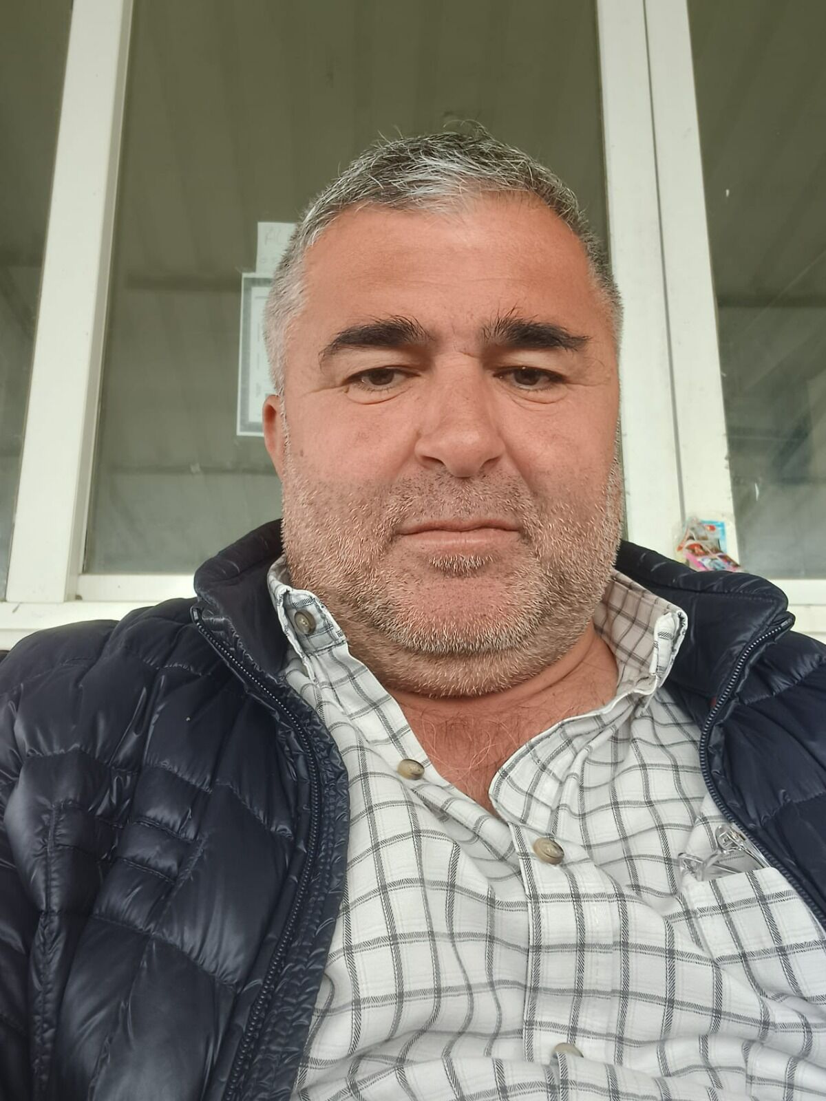 Aydın’da Kurt Sürüye Saldırdı! Çok Sayıda Hayvan Telef Oldu (2)