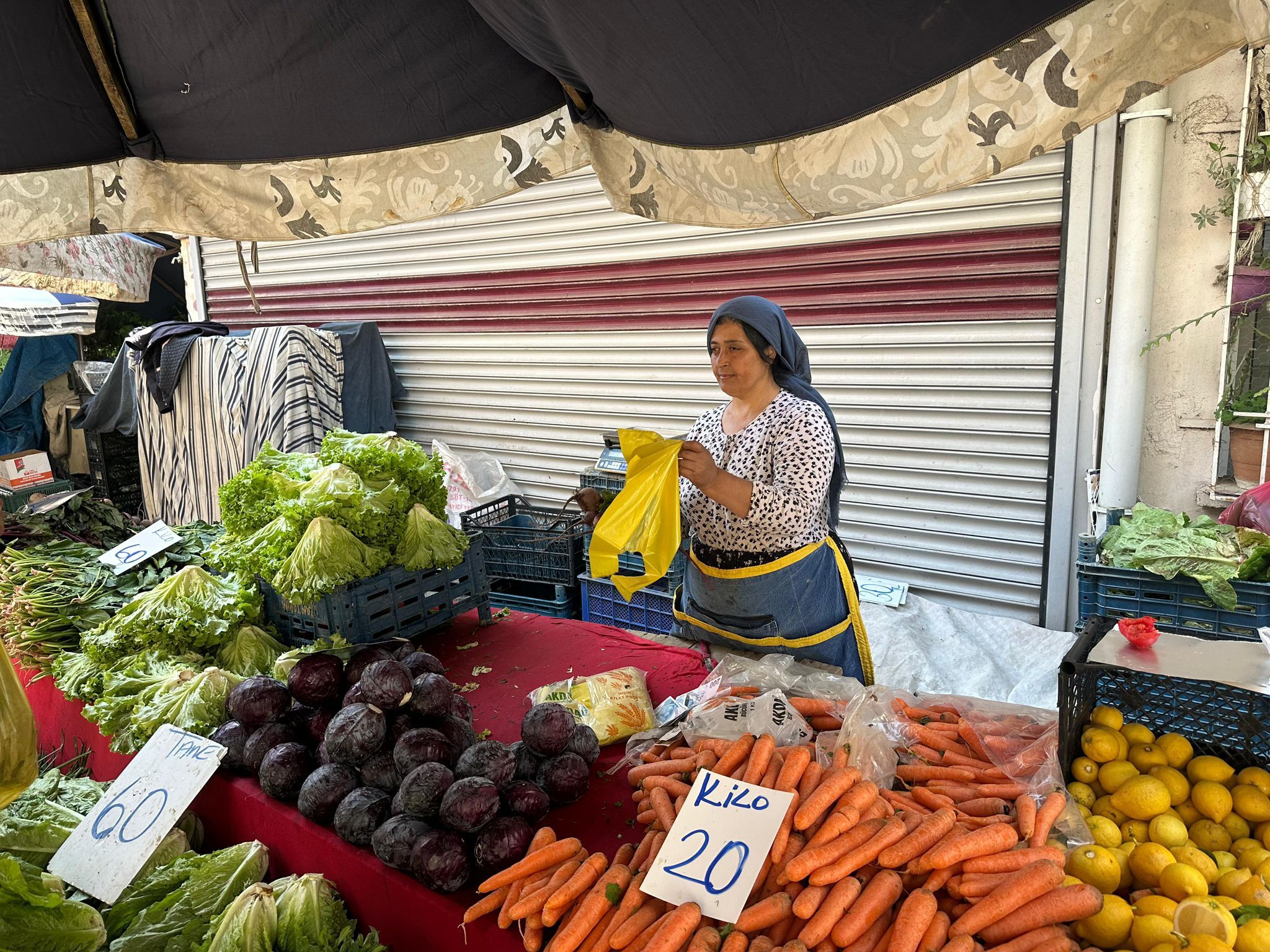 Aydın’da Tezgahlara Bahar Geldi Semizotunun Bu Yıl Fiyatı Ne Kadar Oldu (1)