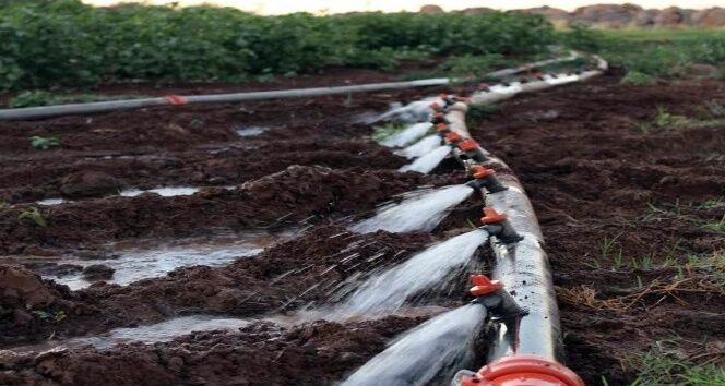 Aydın’daki O Mahalleye Sulama Suyu Verilmeyecek! Muhtar Üreticileri Uyardı1