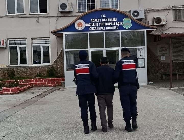 Nazilli’de jandarma operasyonu! 208 kök hint keneviri ele geçirildi