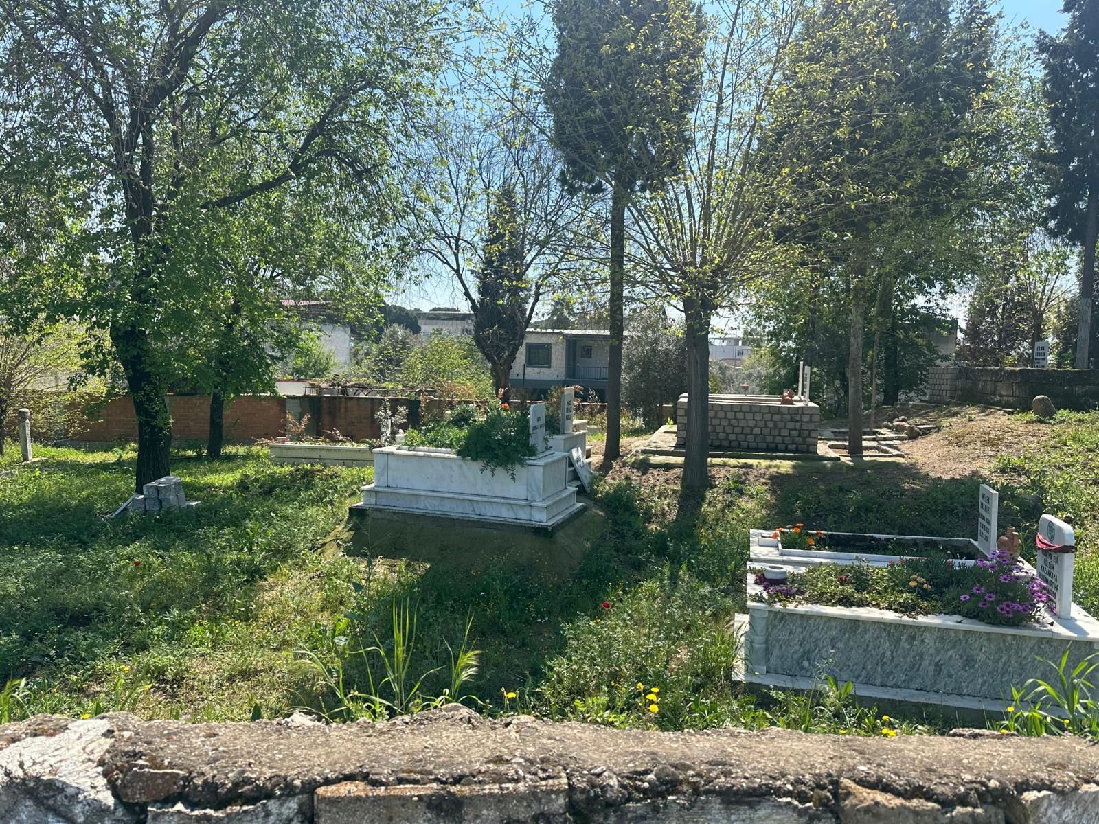 Aydınlı muhtar hizmet alamadığı için isyan etti