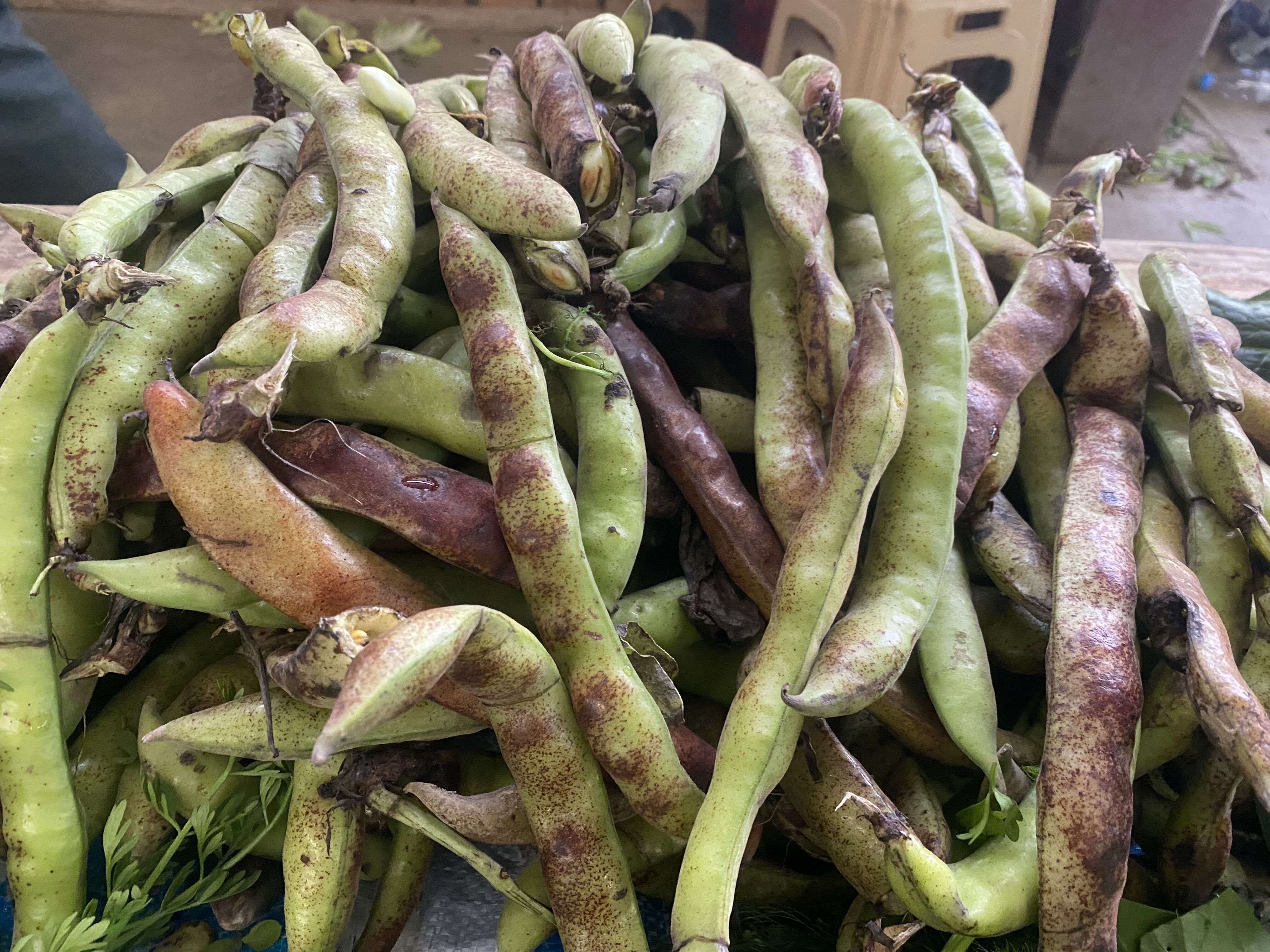 Baharin Habercisi Olan O Lezzet Cinede Gorucuye Cikti Gecen Yilin Fiyati Korundu 652015 Ae8202C5238B9Aaa36020Ff65639F92D