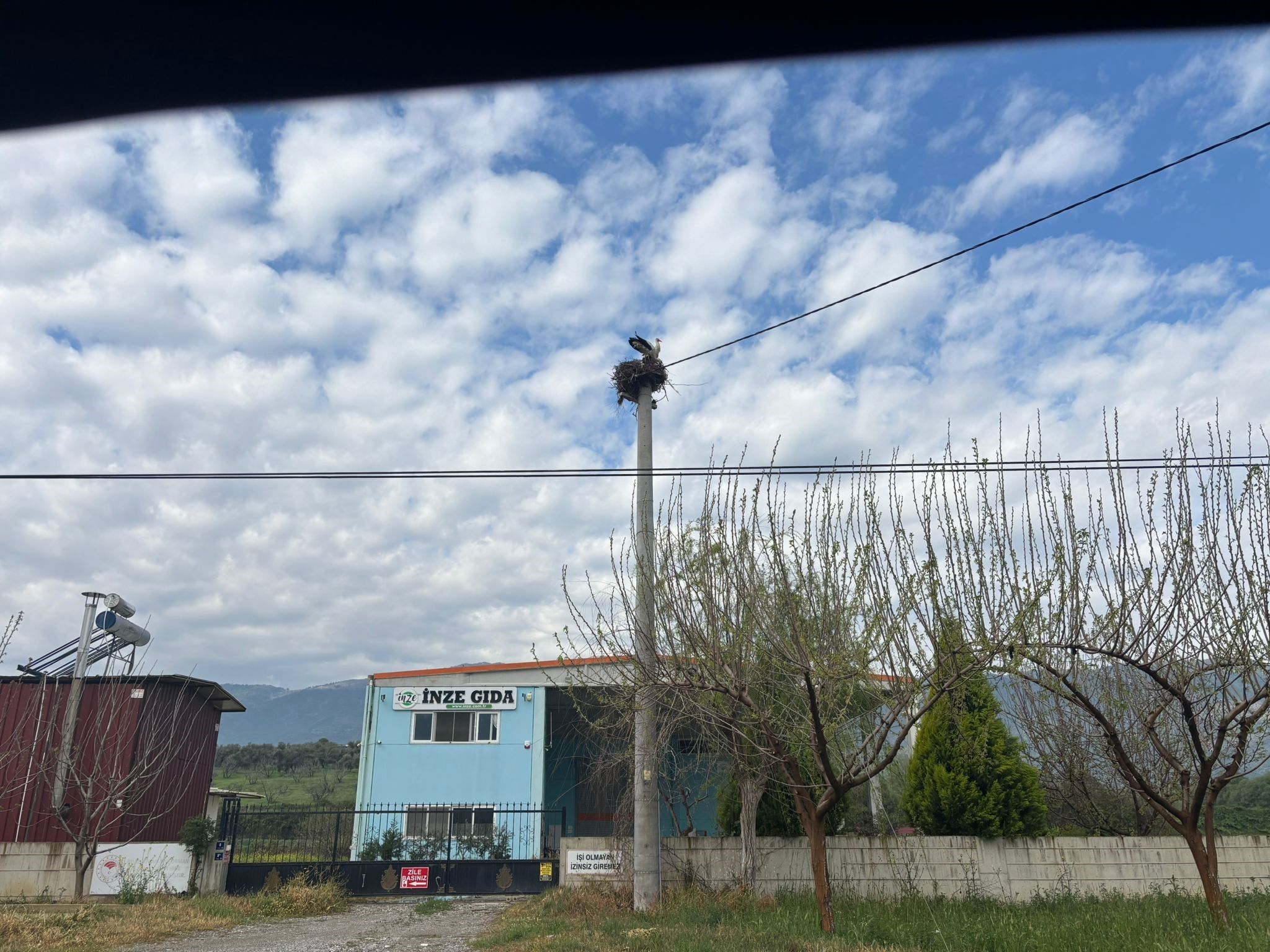 Bozdoğan’ın Sadık Misafirleri Döndü! Gökyüzünde Leylek Şöleni (4)