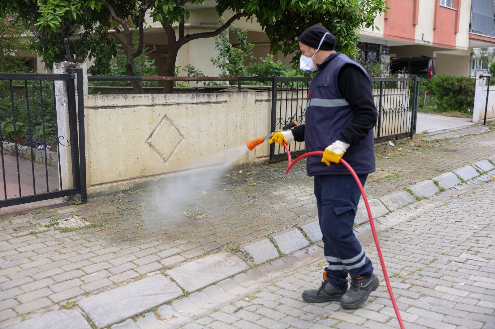 Efelerde Hem Saglik Hem Estetik Gozetiliyor Yabanci Otlar Te 655483 2149A0