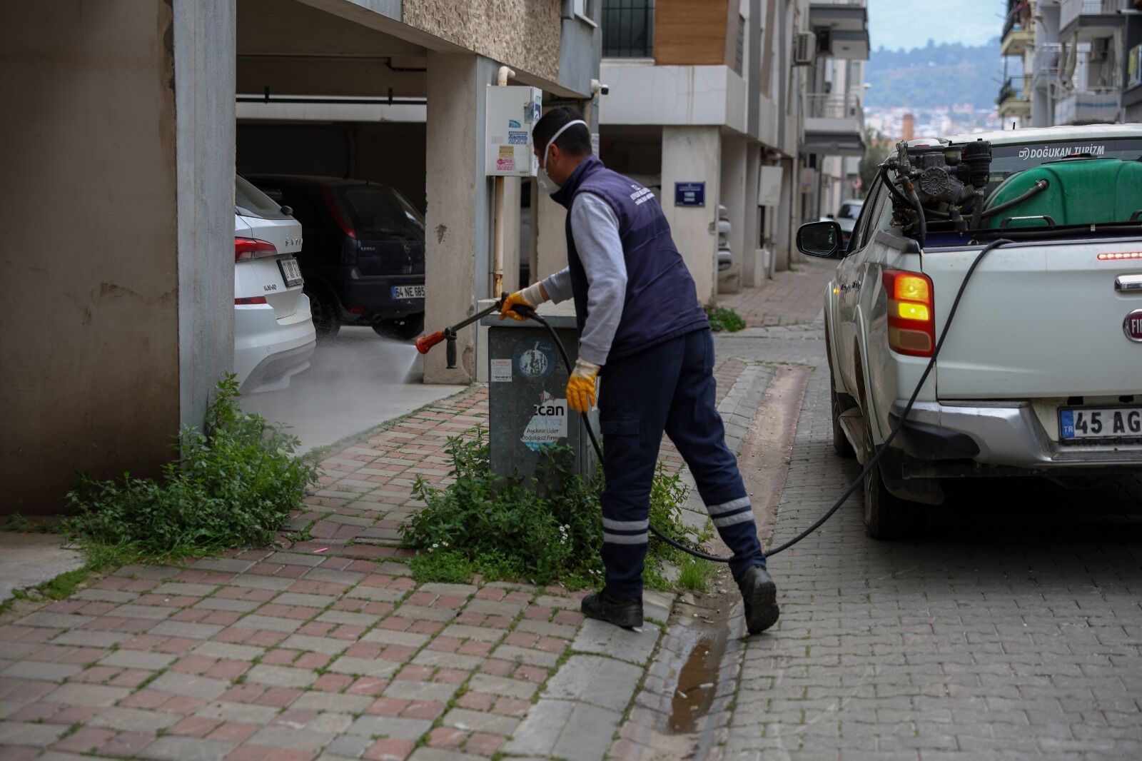 Efelerde Hem Saglik Hem Estetik Gozetiliyor Yabanci Otlar Te 655483 2B6A7A