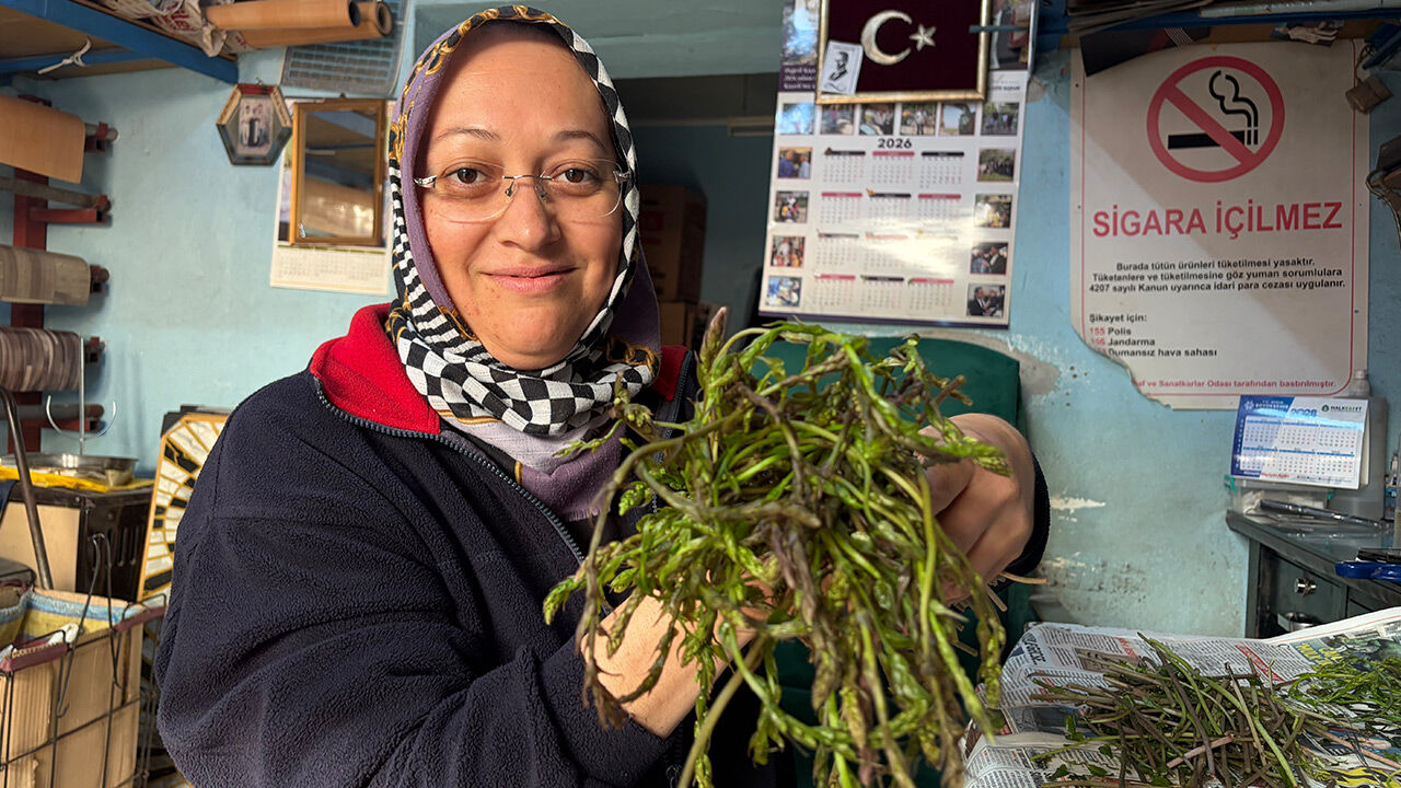 Koçarlı’da Sarmaşık Mesaisi! Yazlık Hazırlıklar Başladi-1
