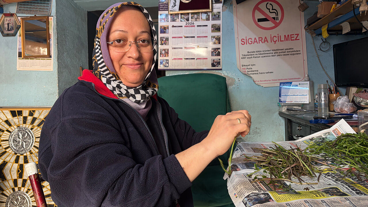 Koçarlı’da Sarmaşık Mesaisi! Yazlık Hazırlıklar Başladıı