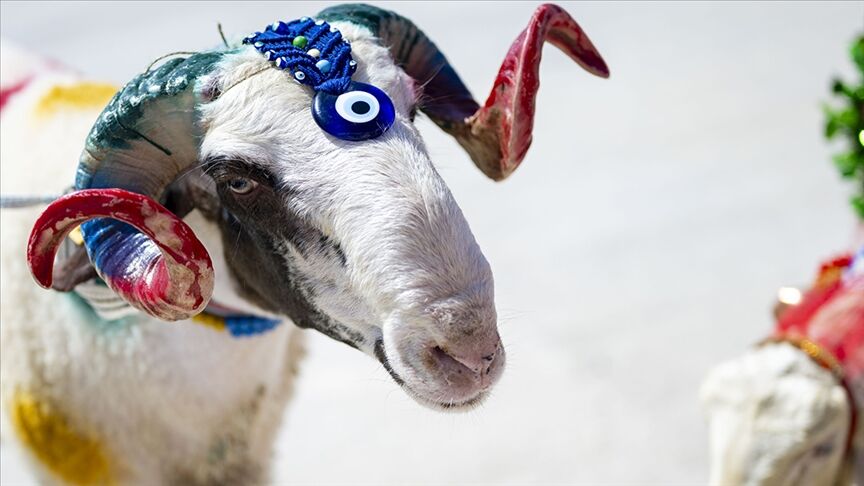 Kurban Bayramı Emekli İkramiyesi 2026 Ne Zaman Yatacak