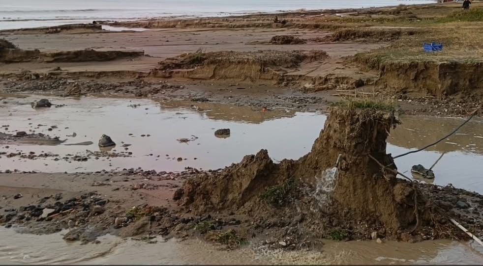 Kusadasi Sahilinden Tarih Fiskirdi Kiyida Esrarengiz Kemikle 654930 C0B498