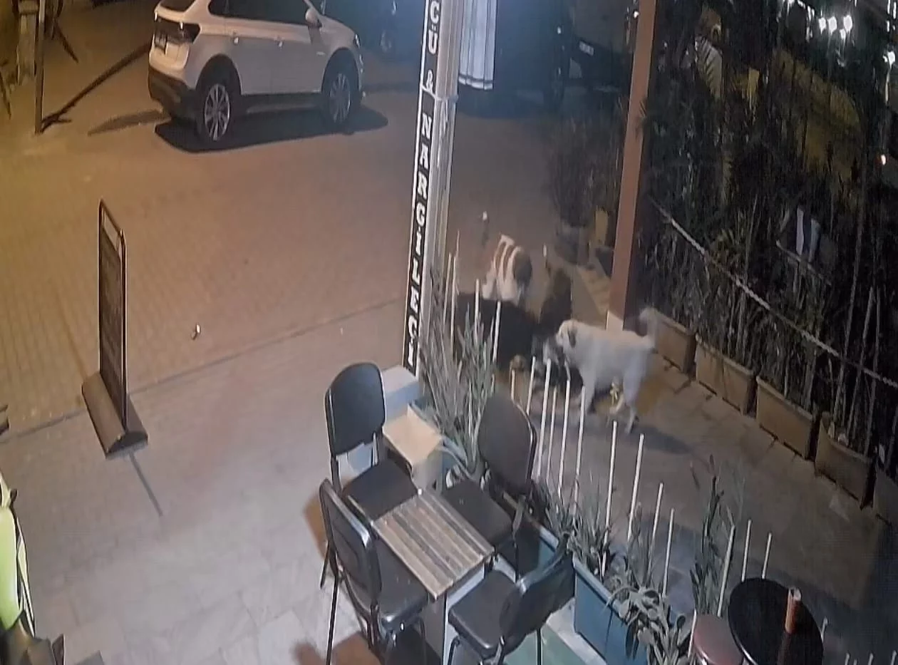 Nazilli’de kan donduran olay! Saldırı sonrası hayatını kaybetti