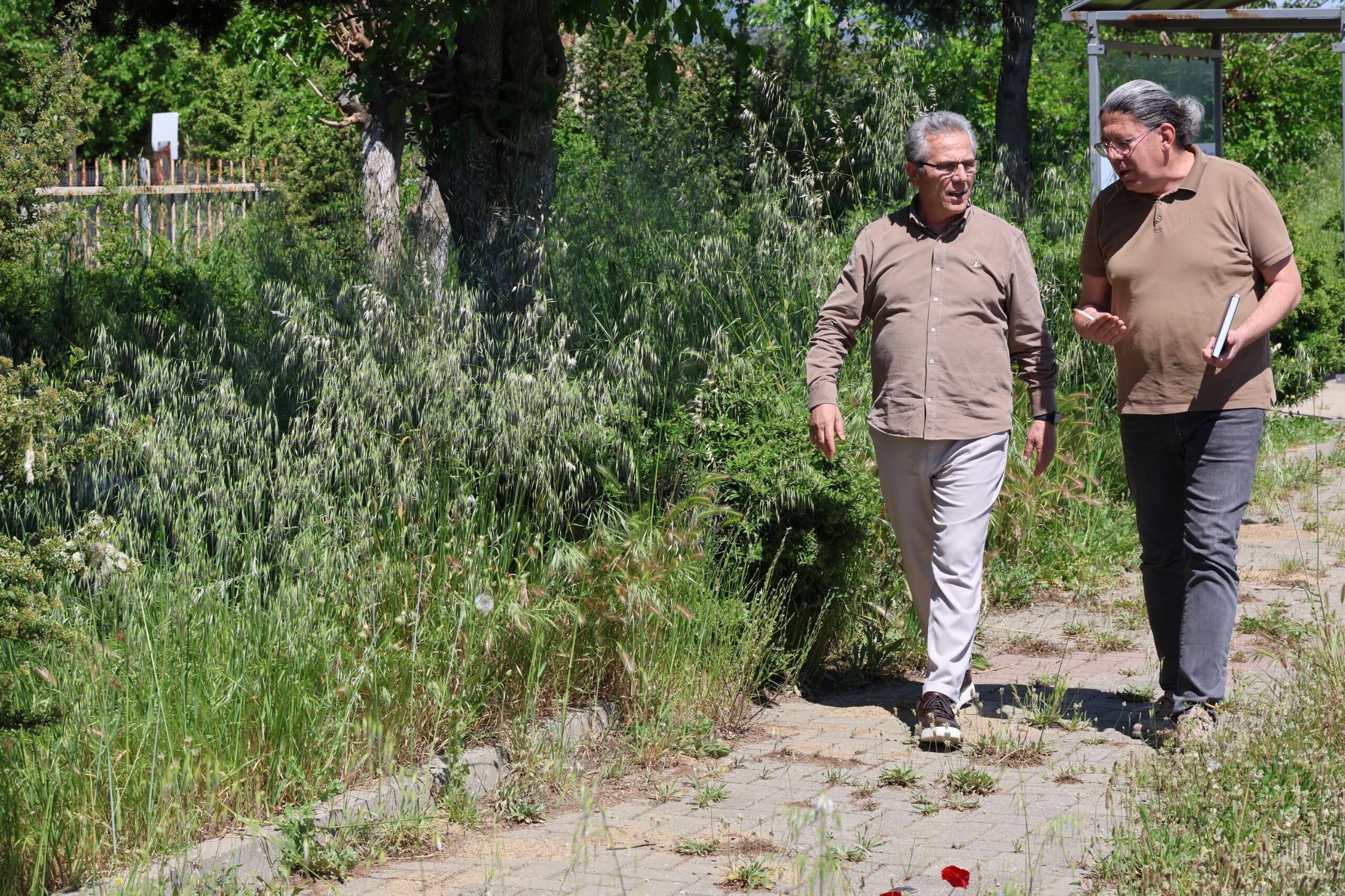 Nazilliyi Yabani Otlar Sardi Baskan Tetik Tepki Gosterdi Int 657720 963321