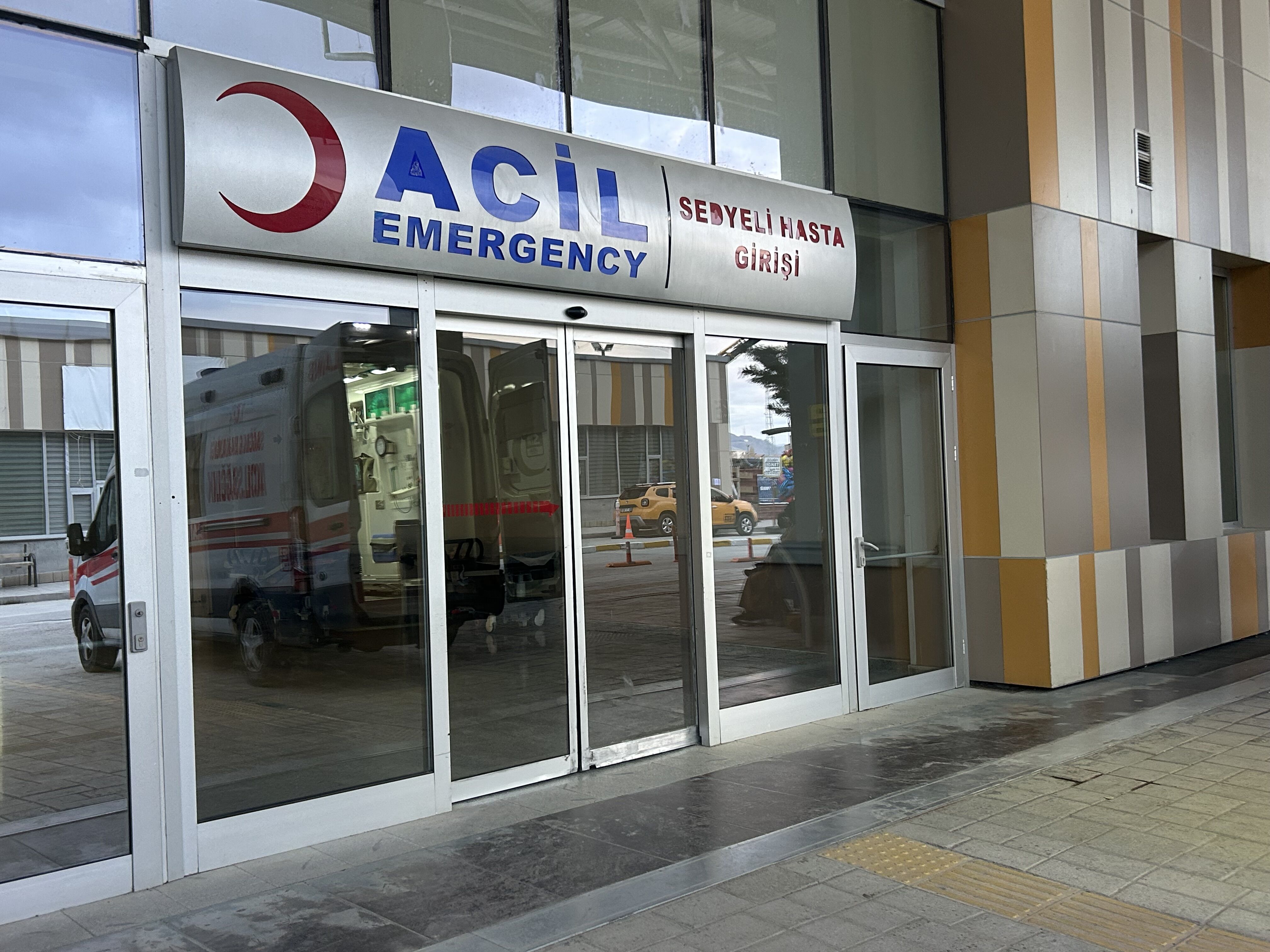 Sokak Köpekleri 5 Yaşındaki Çocuğu Parçaladı! (3)