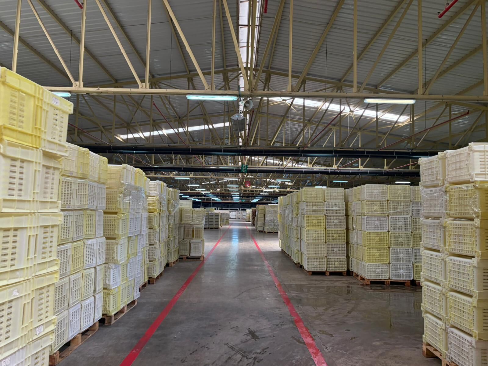 Tariş İncir Birliği Başkanı Kacar Hedef’e konuştu: Geçen sene 4 milyon kilo incir üreticiden alındı