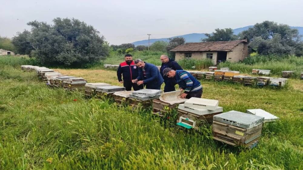 Aydın hayvancılıkta Türkiye’nin zirvesini zorladı