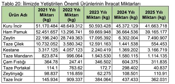 Aydin Tariminin Efeleri Kan Agliyor Ne Incirin Bereketi Kald 663963 18C90D