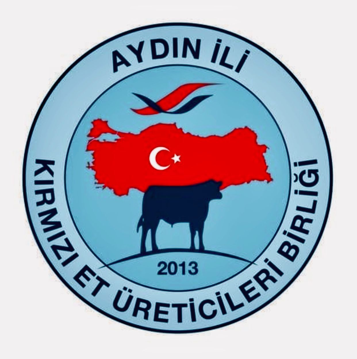 Aydın’da besilik sığır ithalatı düşüşte