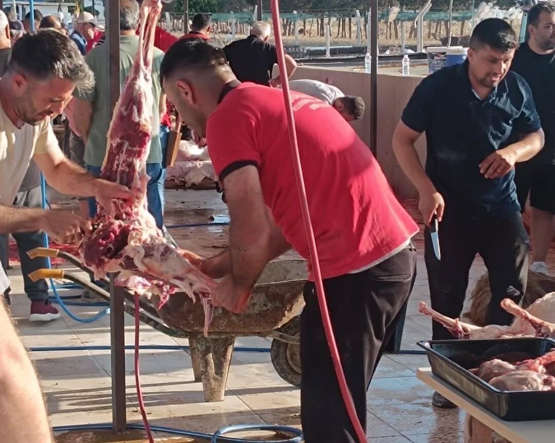 Aydın'da Kurban Bayramı denetimleri devam ediyor Ekipler sahada