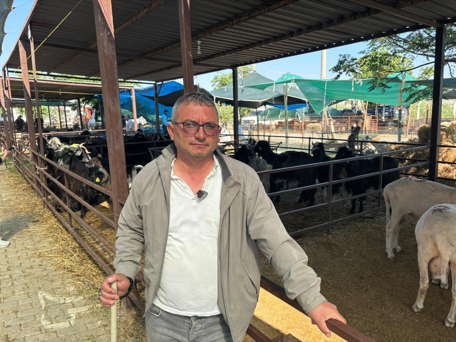 Aydın’da kurban pazarı alarm verdi