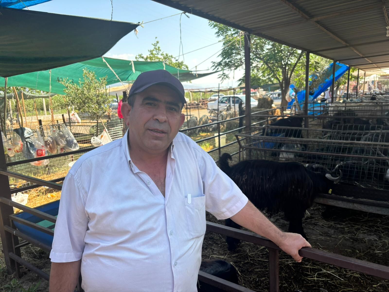 Aydın’da kurban pazarı alarm verdi
