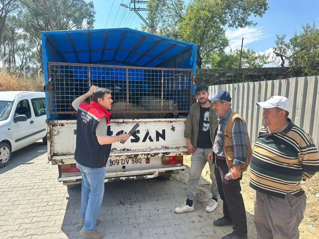 Aydinda Kurban Satis Alanlarinda Siki Denetim Ekipler Bayram 665662 9Be540