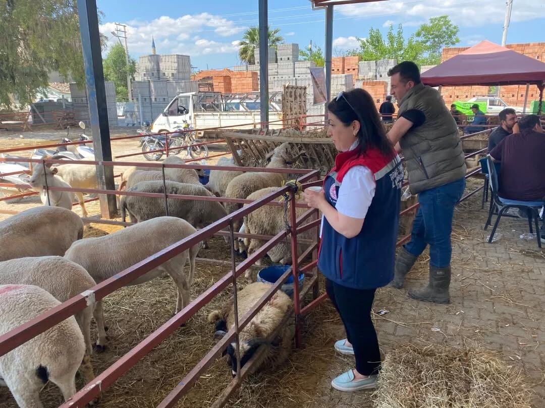 Aydinda Kurban Satis Alanlarinda Siki Denetim Ekipler Bayram 665662 D40B4A