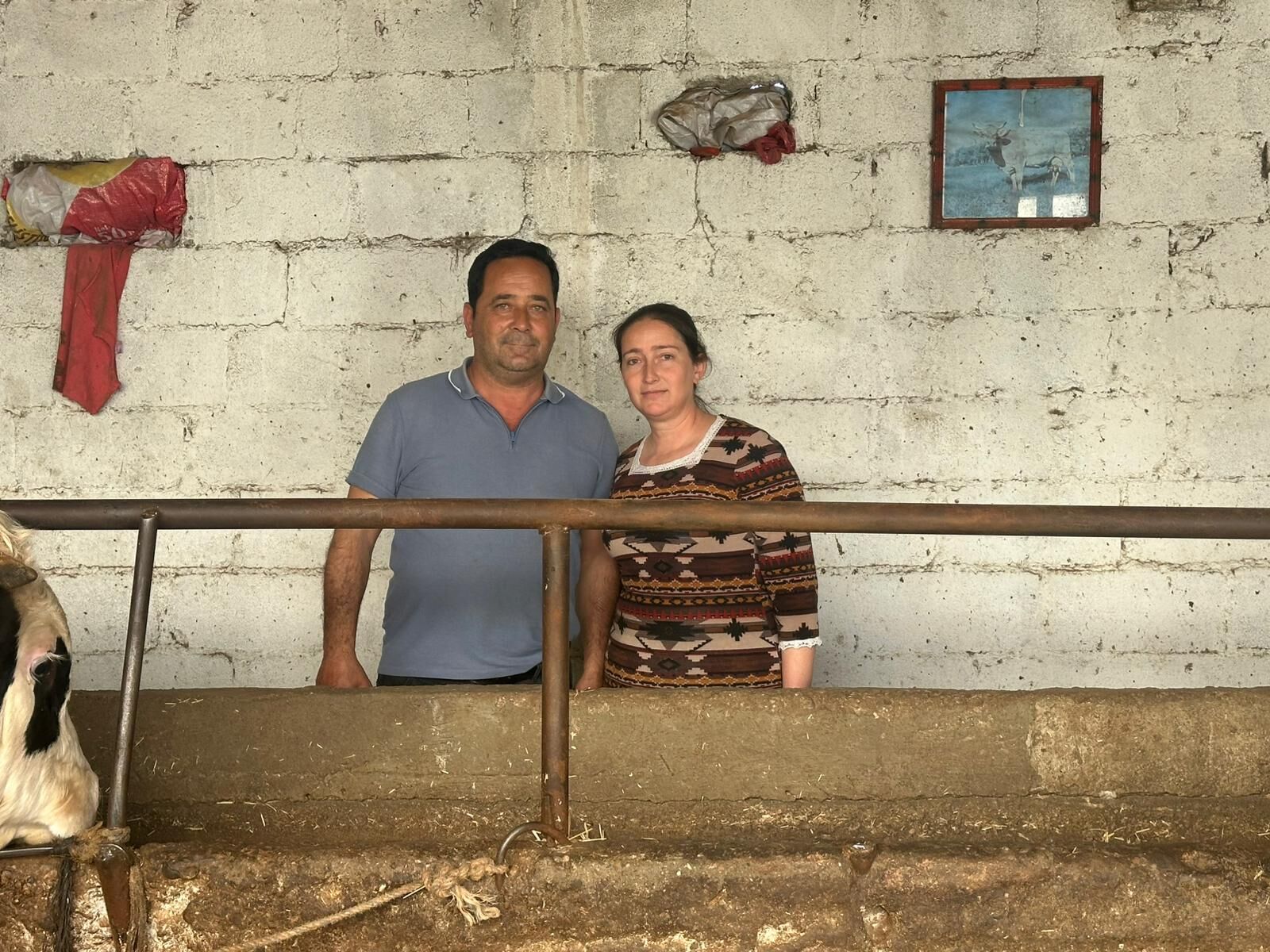 Aydın’da kurbanlık satışları yavaşladı: Fiyatlar ve alım gücü dengesi bozuldu