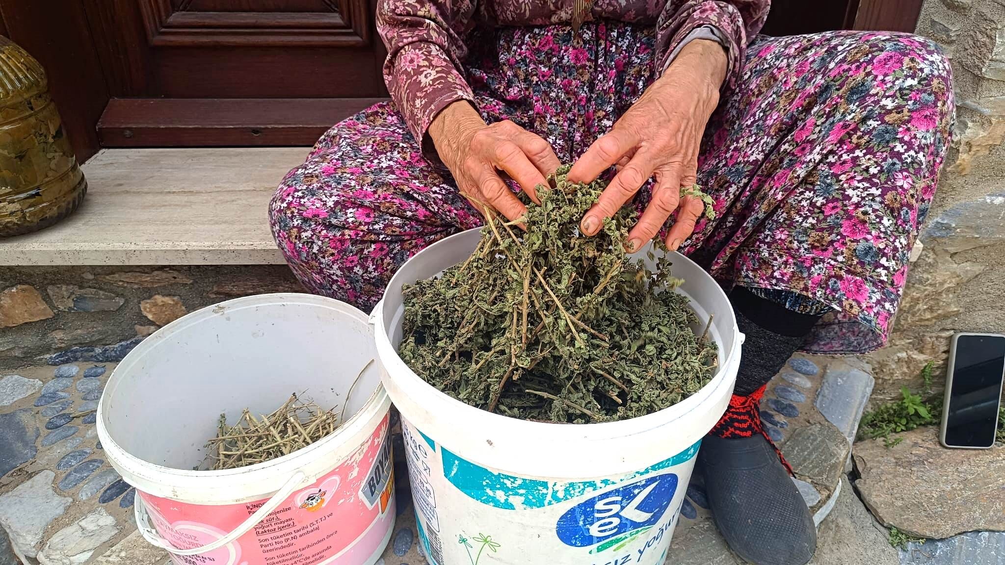Aydindaki Tas Evlerin Arasinda Organik Pazar Kuruluyor Aydin 663513 Eadaf3