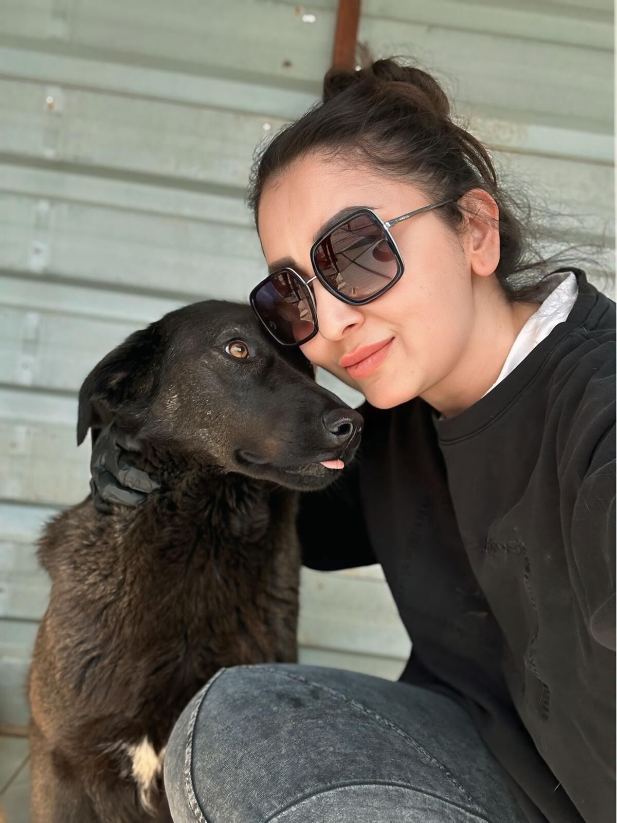 Aydın’dan İçişleri Bakanı Çiftçi’ye çağrı: “Toplamayın, kısırlaştırın”