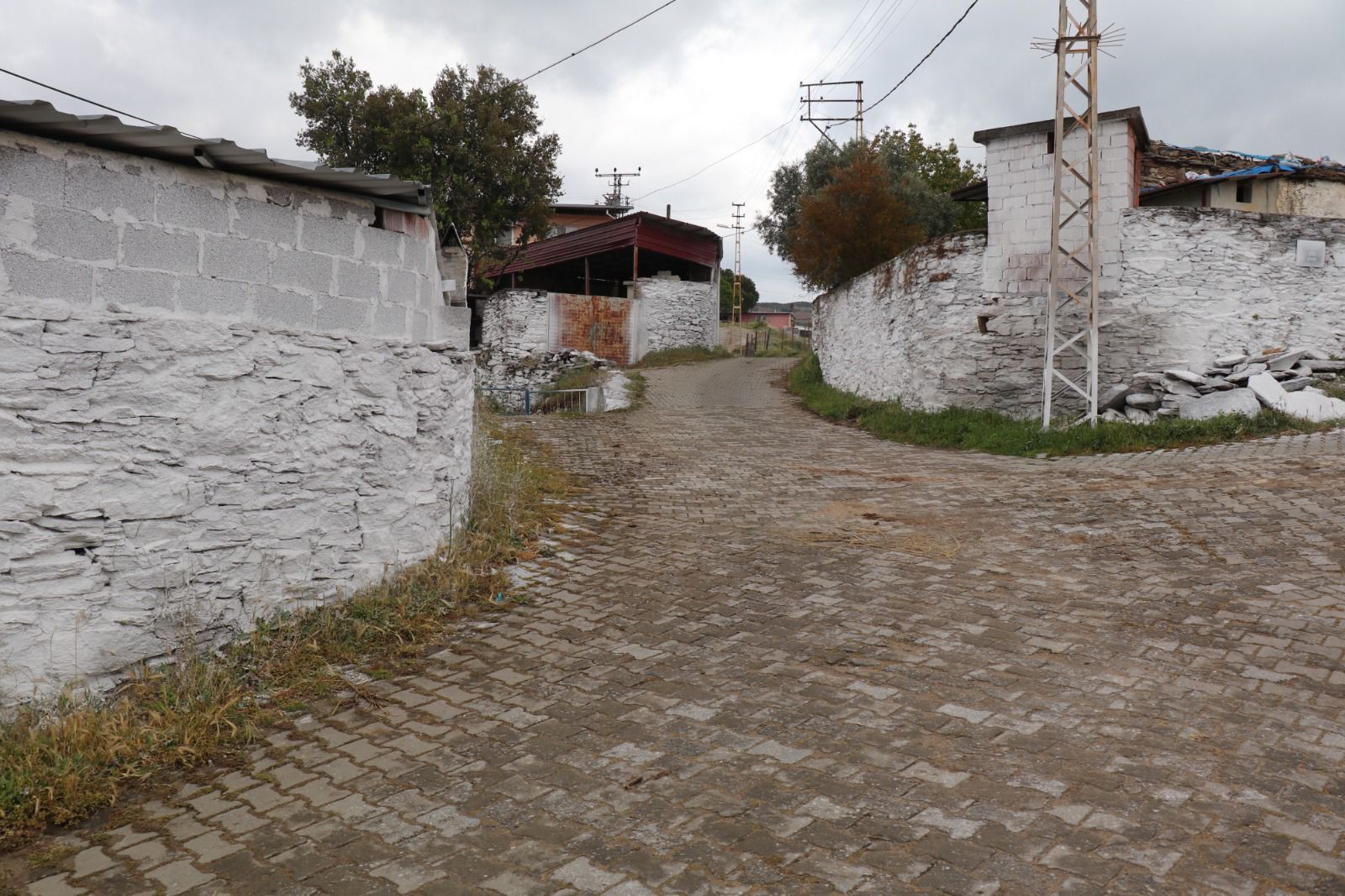 Bozdoganda Yaz Hazirligi Hasereye Kirecli Onlem Internet 659543 2D9D0B