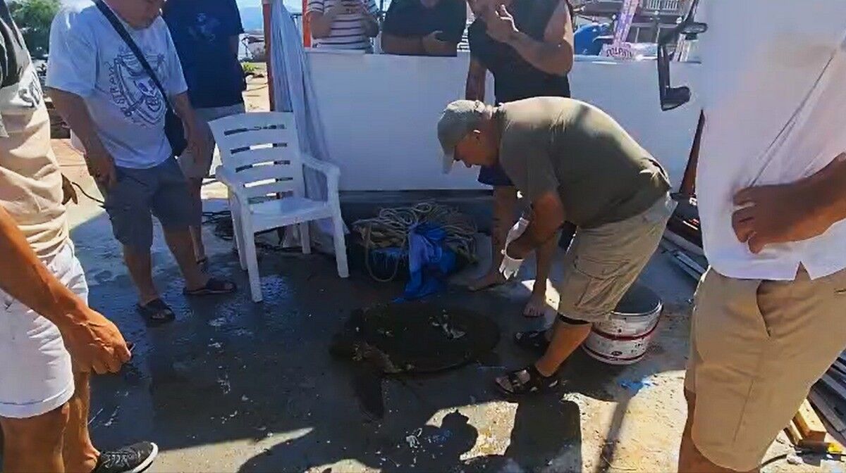 Caretta (1)-1