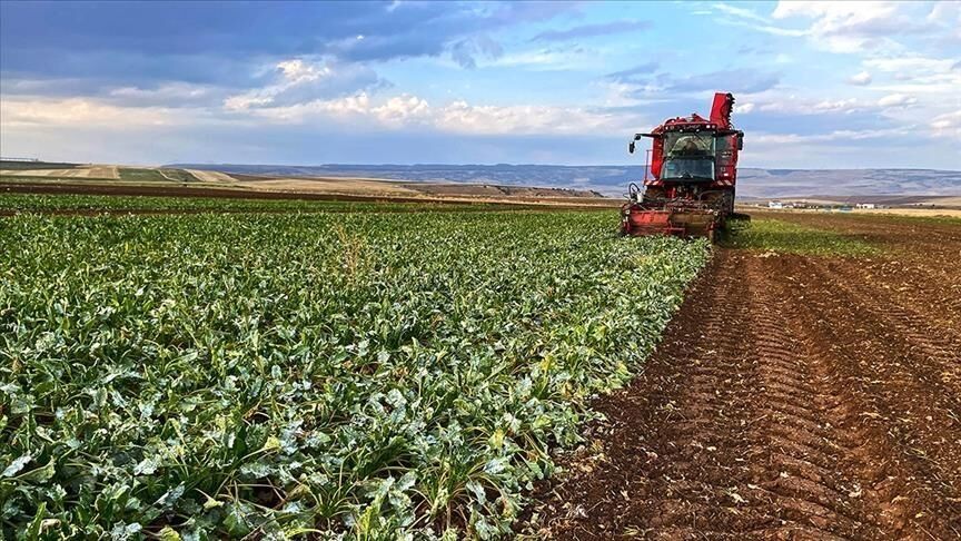 Destek Bekleyen Çiftçilere Soğuk Duş! Tkdk’dan Kritik Açıklama1