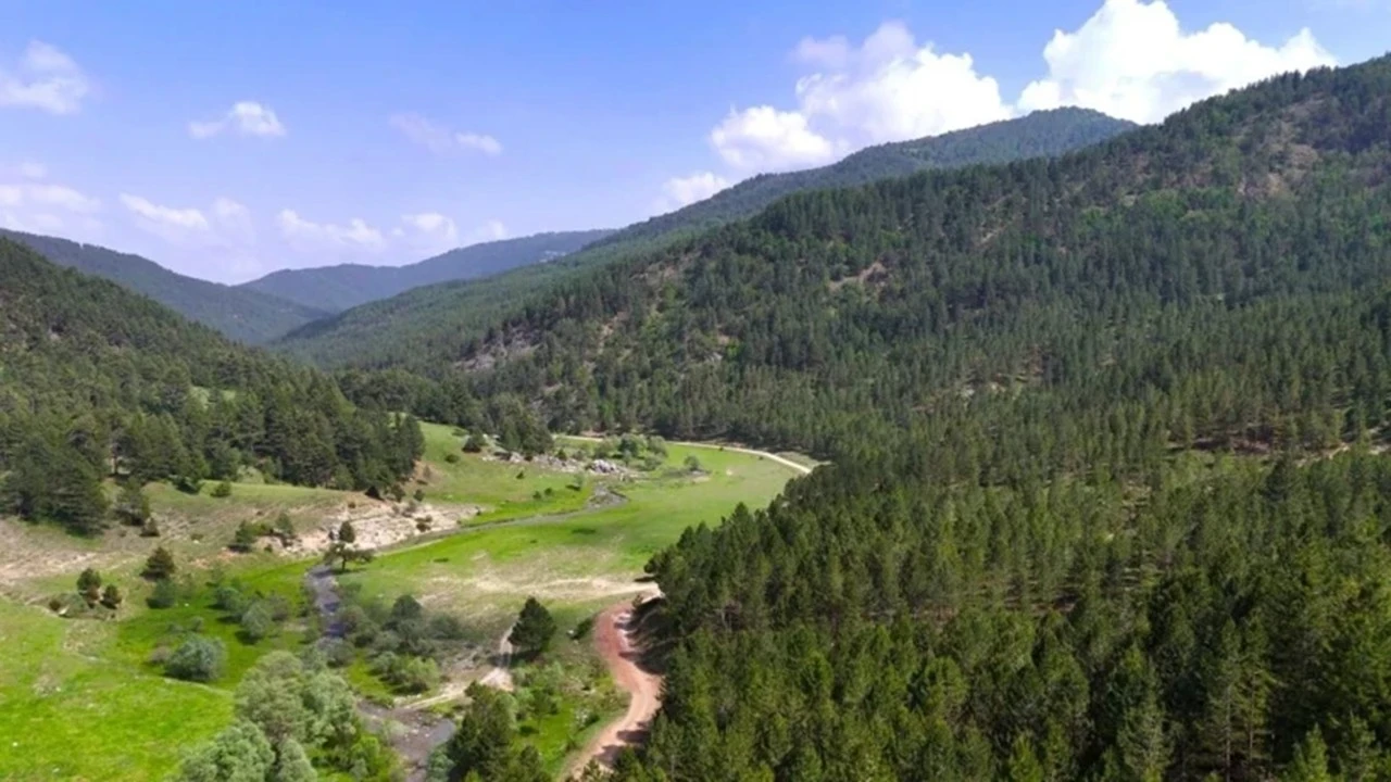 Doğa Koruma Ve Milli Parklara Personel Alımı1