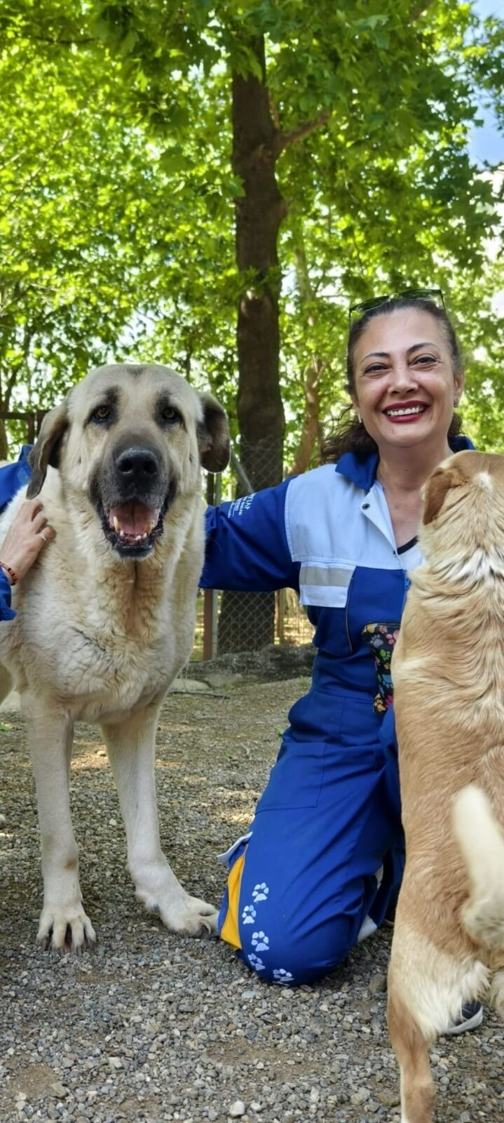 Hayvanseverlerden ‘Anneler Günü’ reklamı isyanı: “Sevginin ölçütü yoktur”