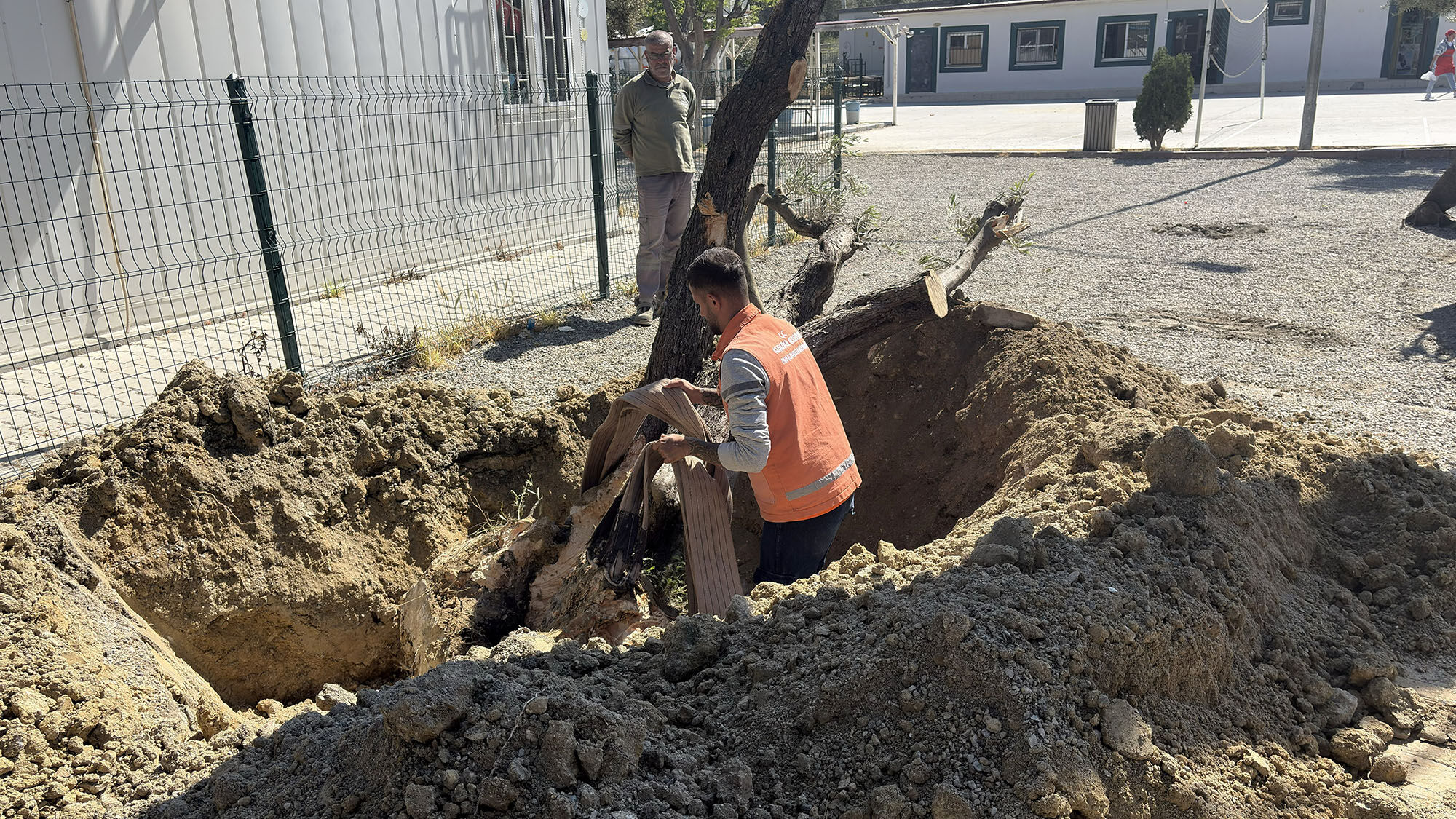 Kusadasi Belediyesinden Ornek Hareket 410 Agac Kesilmekten K 659550 08734B