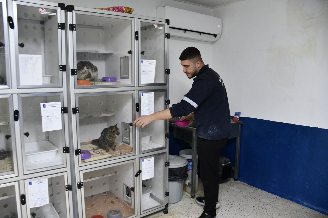 Kusadasinda Binlerce Can Dostu Sifa Buldu 664329 F413Ba