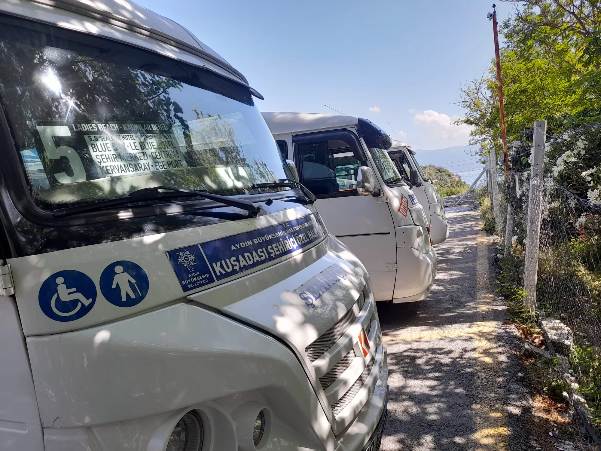 Kuşadası'nda Gece Ulaşımına Yaz Ayarı Geldi3